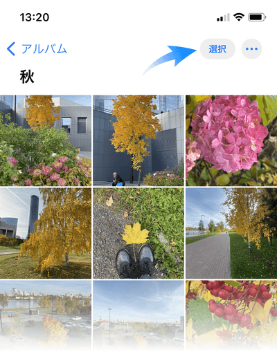 iPhoneのアルバムで写真を選択