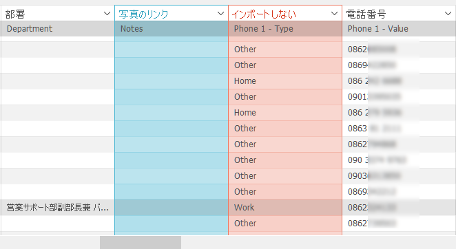 手動的に設定したフィールド名（青）とインポートしないフィールド（赤）