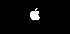Appleのロゴと進行状況バー