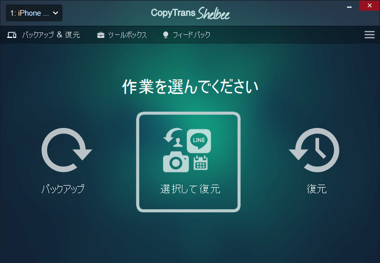 「選択して復元」を選択についてもっと詳しくというスクリーンショットです