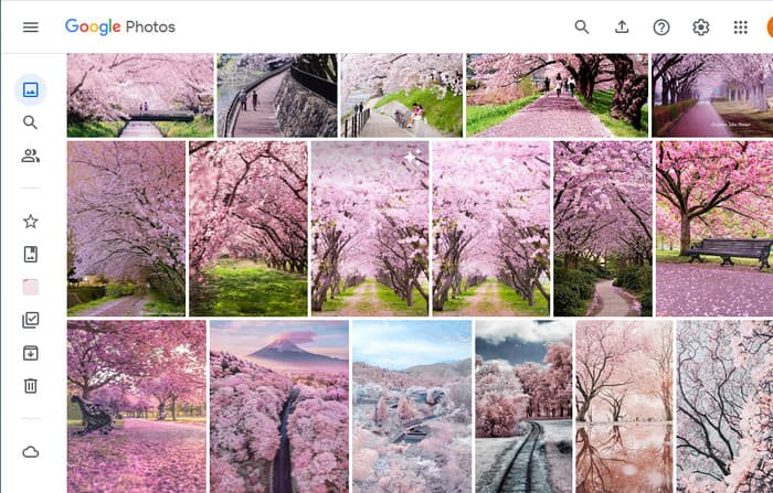 GoogleフォトにHEICの写真をアップロードしたらWindowsでもHEIC写真を見ることができる