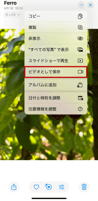 iPhoneの写真アプリからライブフォトを動画に変換する