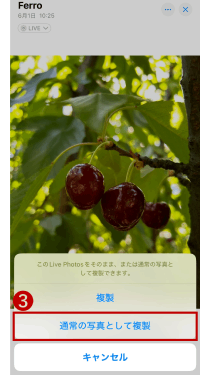 Live Photosを通常の写真として複製する方法