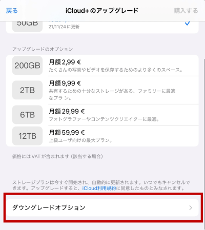 「ダウングレードオプション」を選択