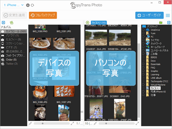 CopyTrans PhotoでデバイスとPCの写真を表示