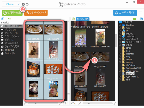 CopyTrans PhotoでiPhoneの写真をPCにコピー