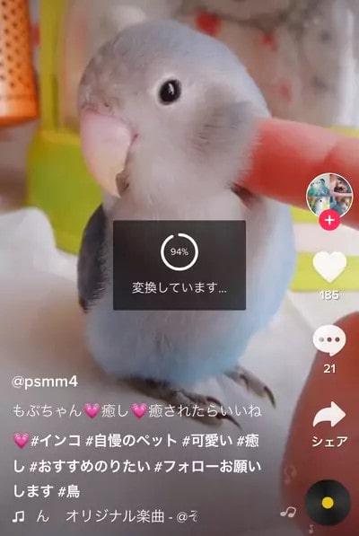 動画をGIFに変換