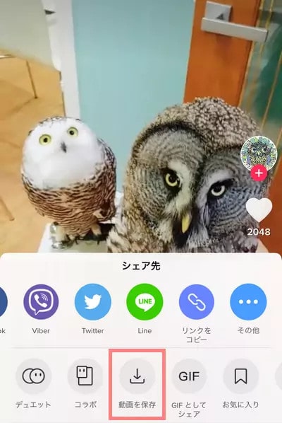 TikTok動画をカメラロールに保存