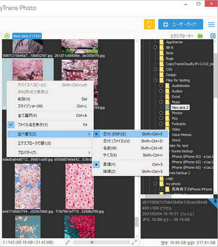 CopyTrans Photoでパソコンの写真を日付順で並び替える