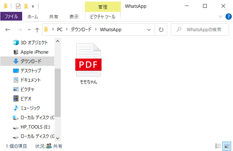 CTBE でWhatsAppを抽出された